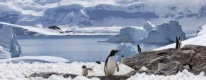 La Antártica  de Todos