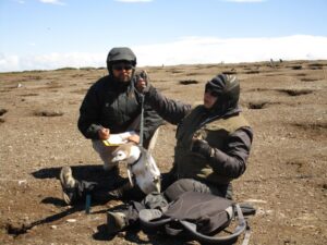 “Para nosotros será la columna vertebral del desarrollo turístico en Tierra del Fuego”