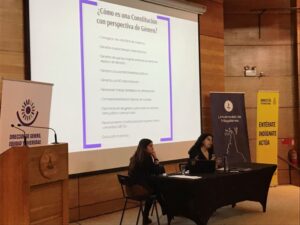 Una nueva Constitución con perspectiva de género