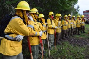 Realizan primer simulacro de incendio forestal en la Provincia Antártica Chilena