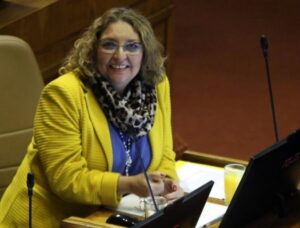Diputada Sandra Amar gestiona que se incluya a Magallanes en congelación tarifaria