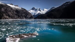 Historia y economía patagónica