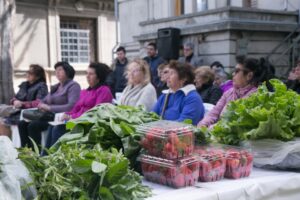 Municipalidad anuncia cuarta temporada de Feria Saludable