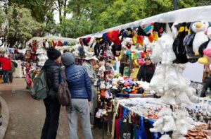 “Levántate Mujer” busca a emprendedoras magallánicas