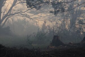 Llaman a prevenir incendios forestales