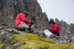 Investigan contaminantes de acción humana que llegan a la Antártica