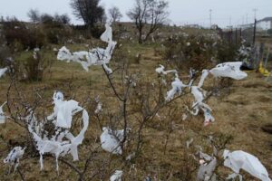 Bolsas plásticas: la mejor medida medioambiental