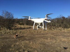 INIA Kampenaike busca incorporar drones a la gestión ganadera