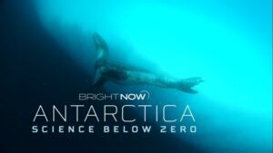 Documental chileno explora los efectos del cambio climático en las corrientes marinas