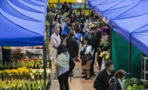 AGIA destaca gran presencia de empresas regionales  y nacionales en la nueva versión de la ExpoMagallanes 2020