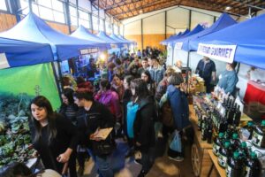 Más de 10 mil personas ya han  disfrutado de la Expo Magallanes