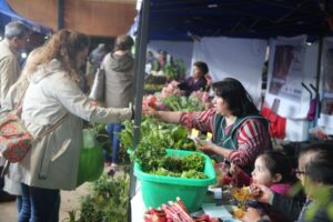 Expositores sacan cuentas alegres tras rotundo éxito de la Expo Magallanes