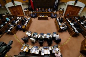 Senador Bianchi único parlamentario magallánico que votó en contra de la “Ley Antisaqueos”