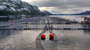 SEA admitió a calificación tres  proyectos de Nova Austral
