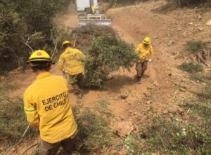 Cambio climático: catástrofes y emergencias, la amenaza de los incendios y el rol del Ejército