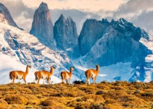 ¿Regiones extremas o extremas regiones?