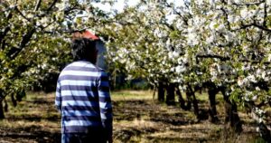 “El sector de frutas es el más expuesto y cobre funciona con normalidad”