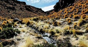 Aseguran que Bolivia se vería perjudicado tras admitir que Silala fluye naturalmente hacia Chile