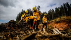 Parque Nacional Torres del Paine vivirá su primer simulacro de incendio del año