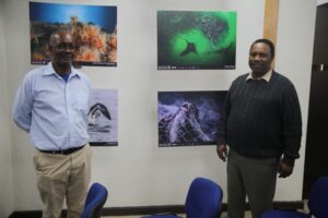 Sudáfrica quiere replicar a Punta Arenas y ser puerta de entrada a la Antártica