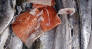 Salmón magallánico estuvo presente en el Super Bowl