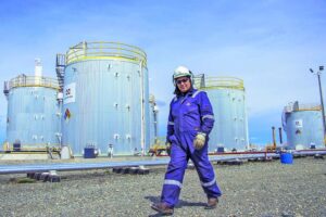 GeoPark anunció nuevo descubrimiento de gas en Magallanes