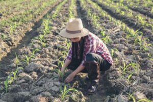 Más de $ 600 millones para recuperar suelos agropecuarios