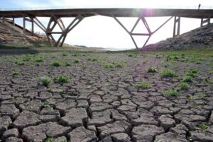 Agricultores urbanos deberán enfrentar crisis hídrica con tecnología