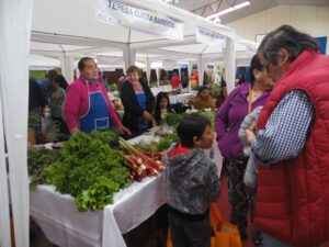 Más de un centenar de  personas asistieron  a la Feria Saludable