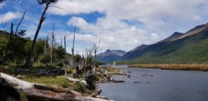 Abren proceso para presentar observaciones al Plan Nacional de Restauración de Paisajes 2020-2030
