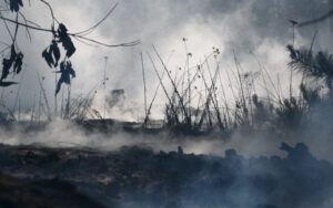 Conaf asegura que existe aumento en superficie afectada pese a disminución de incendios forestales