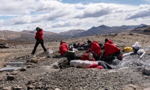 Descubren fósil de dinosaurio en excelente estado de preservación que podría cambiar la historia natural de Chile