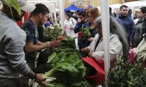 Más de dos mil personas participaron en la nueva versión de la Feria Saludable