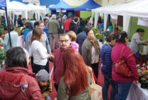 Más de un centenar de permisos de circulación se vendió durante la Feria Saludable