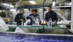 Punta Arenas será el epicentro de dos encuentros científicos este mes