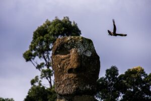 Chileno impacta con camioneta plataforma donde se ubican los Moai