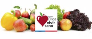 Los siete indicadores del Programa Elige Vivir Sano para detener la obesidad en Magallanes