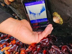 Novedosos sensores midieron la temperatura del océano