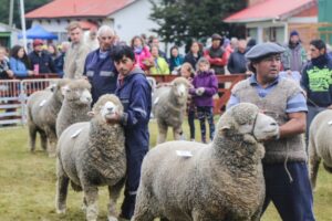 Visitantes consideran un éxito 68° versión de la Exposición Ganadera de Magallanes