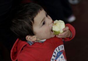 Magallanes presenta el peor índice de obesidad a nivel nacional en cinco cursos