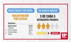 Junaeb mejorará presentación de comidas y abre posibilidad de introducir productos nuevos para revertir la obesidad
