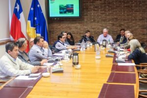 Proyecto drones para Punta Arenas enfrentó a autoridades y consejeros