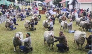 Expositores destacan éxito de Expogama