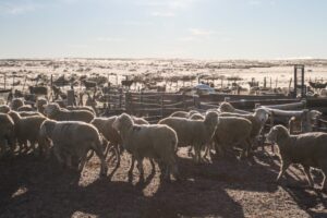 Reavalúo de predios agrícolas en medio de la mayor crisis nacional