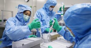 Laboratorio experimenta con éxito en monos una vacuna contra el Covid-19
