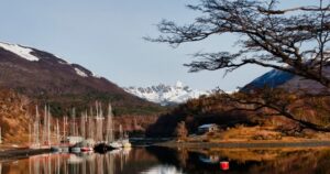 Realizan labores de sanitización en calles de Puerto Williams
