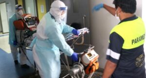 Ventiladores mecánicos para animales serán usados en humanos para enfrentar el Covid-19 en Chile
