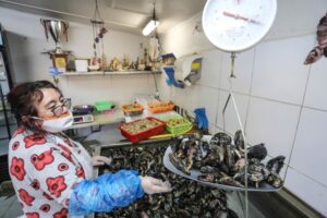 Pescados y mariscos podrán ser adquiridos para celebrar Semana Santa