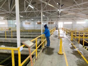 Aguas Magallanes desmintió rumores que han circulado en redes sociales durante últimos días