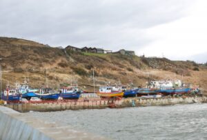 Gobierno dio a conocer aporte de 150 mil pesos para casi 900 pescadores artesanales de Magallanes